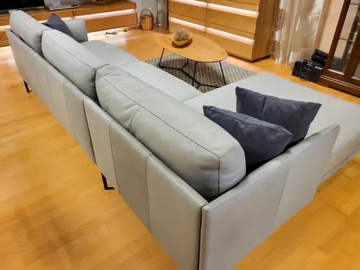 Ledercouch Davoli Contur