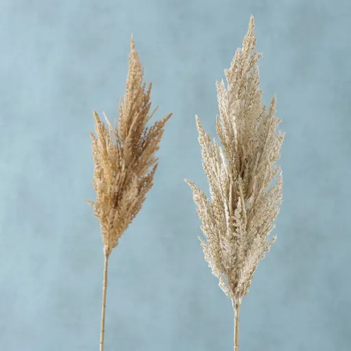 Deko Pampasgras groß 95cm Trockenblumen Hellbraun natur 2fach sort.