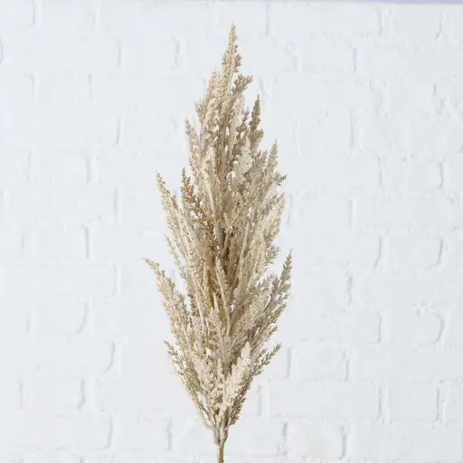 Deko Pampasgras groß 95cm Trockenblumen Hellbraun natur 2fach sort.