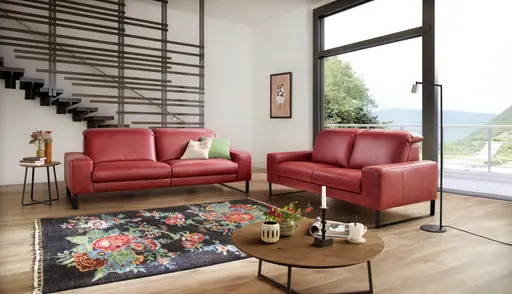 activineo Exklusivmodell Benson