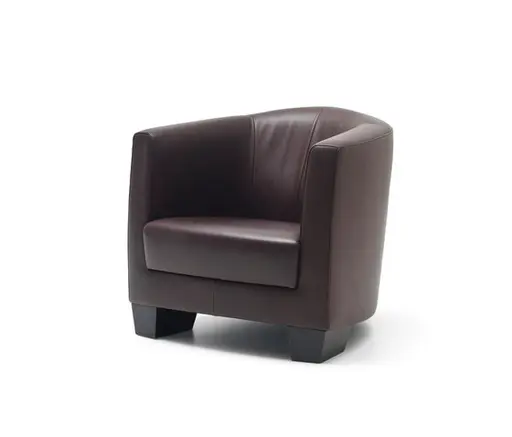 Sessel "DS 2610 DiDo" von De Sede