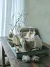 Dekofigur Huhn braun