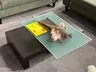 Couchtisch